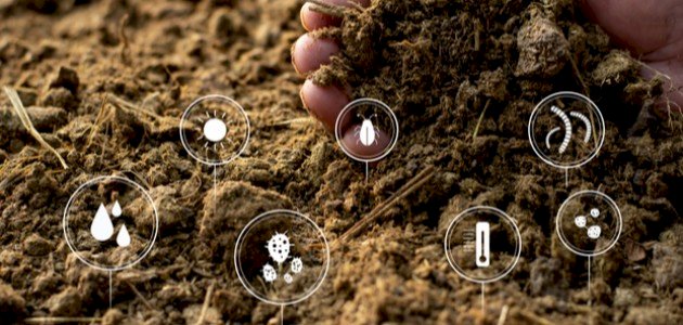 مزايا وعيوب الأسمدة العضوية والأسمدة الكيميائية صورة مقال مزايا وعيوب الأسمدة العضوية والأسمدة الكيميائية