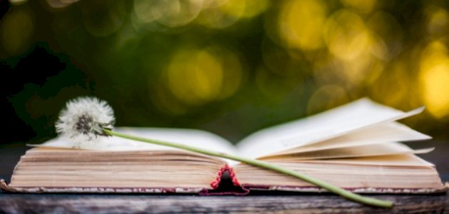 شعر عن رثاء الأب الميت صورة مقال شعر عن رثاء الأب الميت