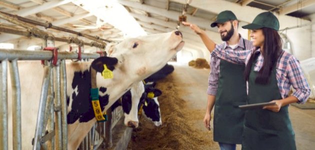 أهمية الإنتاج الحيواني في حياة الإنسان صورة مقال أهمية الإنتاج الحيواني في حياة الإنسان