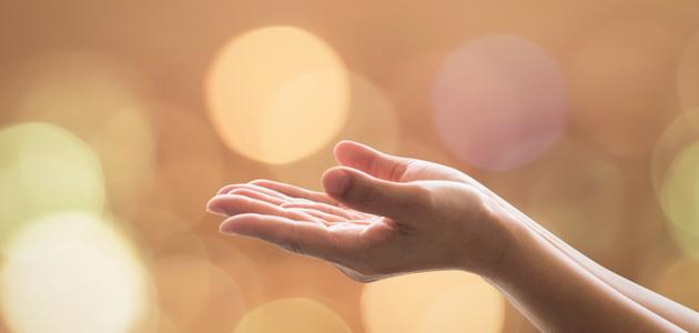 التضحية والفداء في الإسلام صورة مقال التضحية والفداء في الإسلام