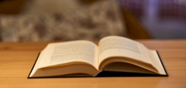 نبذة عن رواية الأبله صورة مقال نبذة عن رواية الأبله