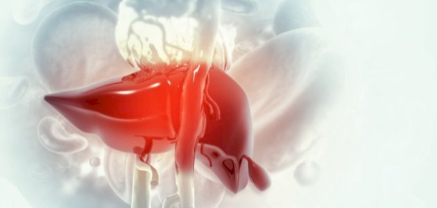 مفهوم تليف الأنسجة صورة مقال مفهوم تليف الأنسجة