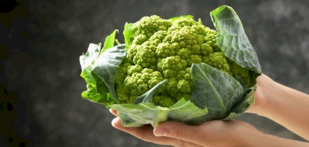 تفسير القرنبيط الأخضر في المنام صورة مقال تفسير القرنبيط الأخضر في المنام