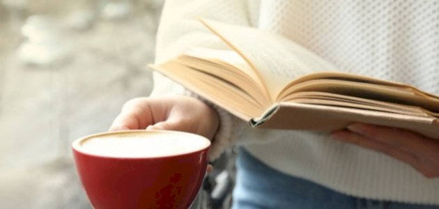 نبذة عن رواية لوكاندة بير الوطاويط صورة مقال نبذة عن رواية لوكاندة بير الوطاويط