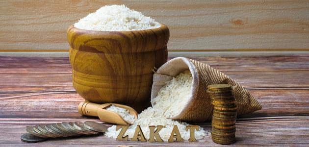 مقدمة عن الزكاة في الإسلام صورة مقال مقدمة عن الزكاة في الإسلام