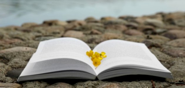 تحليل رواية ثرثرة فوق النيل صورة مقال تحليل رواية ثرثرة فوق النيل