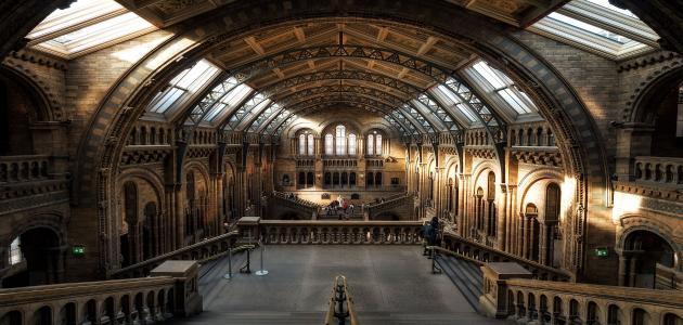 أسس تصميم المتاحف الفنية صورة مقال أسس تصميم المتاحف الفنية