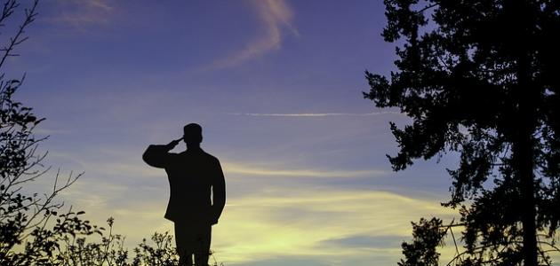 كيف ندافع عن الوطن صورة مقال كيف ندافع عن الوطن