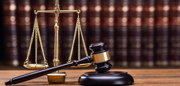 أهمية دراسة علم الاجتماع القانوني صورة مقال أهمية دراسة علم الاجتماع القانوني