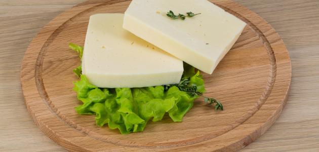 طريقة غلي الجبنة البيضاء صورة مقال طريقة غلي الجبنة البيضاء