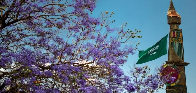 موسم صيف عسير 2023 صورة مقال موسم صيف عسير 2023