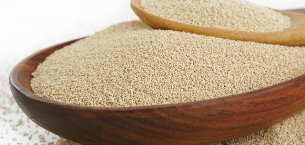 كيفية صناعة خميرة الخبز صورة مقال كيفية صناعة خميرة الخبز