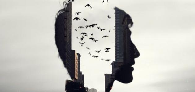 ذاكرتي ضعيفة ماذا أفعل صورة مقال ذاكرتي ضعيفة ماذا أفعل