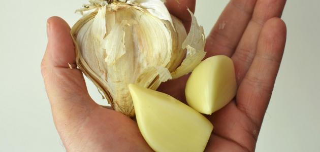 كيف أتخلص من رائحة الثوم صورة مقال كيف أتخلص من رائحة الثوم