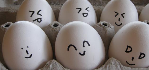 كيف تعرف البيض الفاسد صورة مقال كيف تعرف البيض الفاسد
