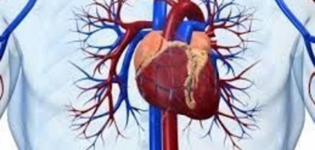 ما علاج مرض القلب صورة مقال ما علاج مرض القلب