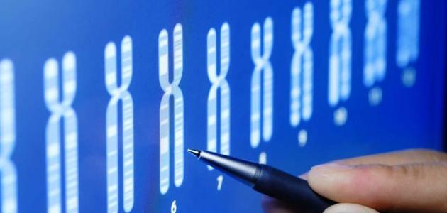 ما هو تحليل الكروموسومات صورة مقال ما هو تحليل الكروموسومات