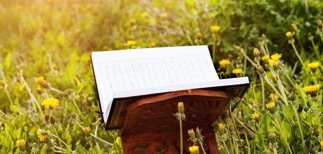 ما هي قصص القرآن صورة مقال ما هي قصص القرآن