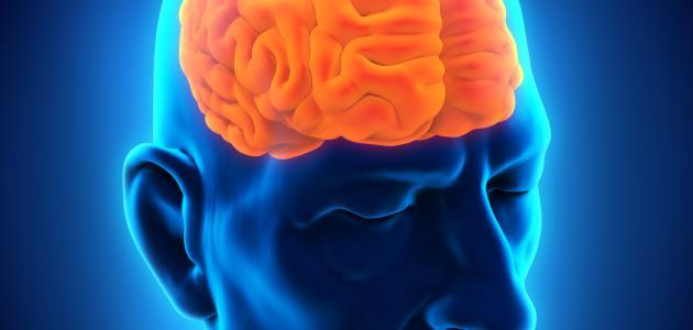 ما هي أعراض الورم في الرأس صورة مقال ما هي أعراض الورم في الرأس