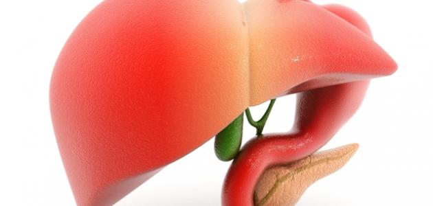 ما هو تكلس الكبد صورة مقال ما هو تكلس الكبد