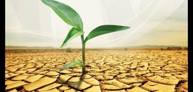 ما هي أفضل صدقة صورة مقال ما هي أفضل صدقة