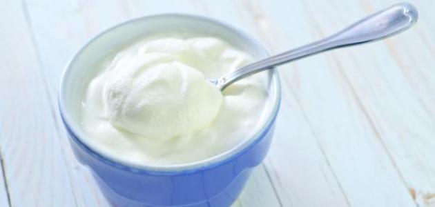كيف تصنع اللبن الرائب صورة مقال كيف تصنع اللبن الرائب