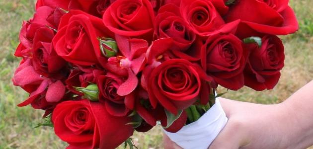 عبارات عن العيد صورة مقال عبارات عن العيد