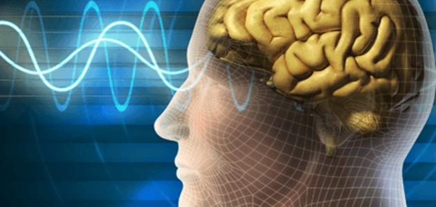 ما هو سبب كثرة النسيان صورة مقال ما هو سبب كثرة النسيان