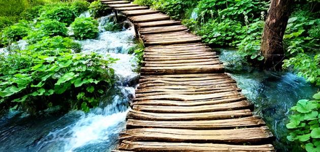 تعريف الطبيعة صورة مقال تعريف الطبيعة