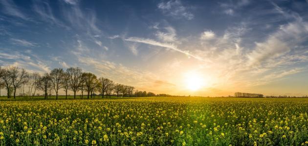 أذكار الصباح والمساء صورة مقال أذكار الصباح والمساء