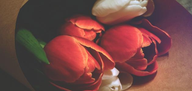 احلى كلام في الحب و الرومانسية صورة مقال احلى كلام في الحب و الرومانسية