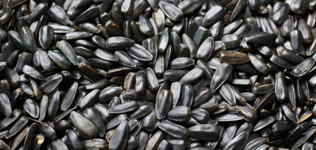 ما أضرار بذور دوار الشمس صورة مقال ما أضرار بذور دوار الشمس