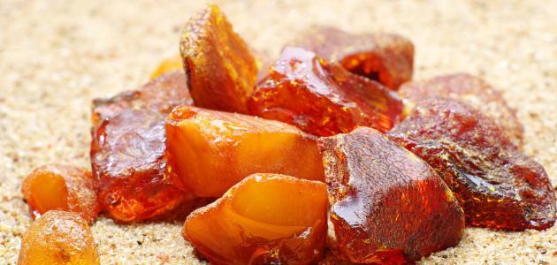 من أين يستخرج المسك والعنبر صورة مقال من أين يستخرج المسك والعنبر