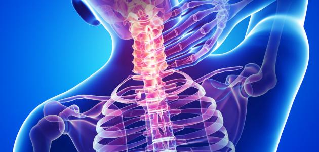 أين يقع النخاع الشوكي صورة مقال أين يقع النخاع الشوكي