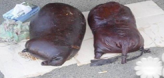 ما هي وسائل التبريد قديماً صورة مقال ما هي وسائل التبريد قديماً