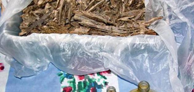 من أين يستخرج العود صورة مقال من أين يستخرج العود