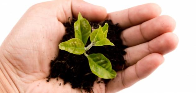 تعريف التربية صورة مقال تعريف التربية