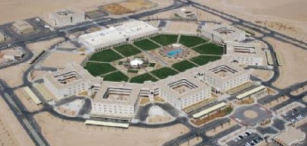 أين تقع حرض صورة مقال أين تقع حرض