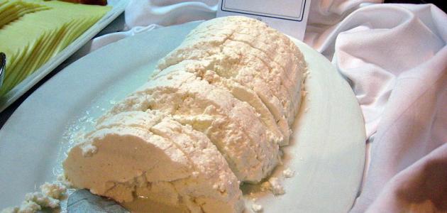 ما هي خثارة اللبن صورة مقال ما هي خثارة اللبن