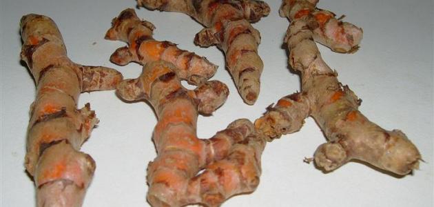 ما هو عود النقع صورة مقال ما هو عود النقع