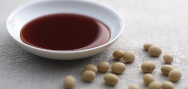كيف تصنع صلصة الصويا صورة مقال كيف تصنع صلصة الصويا