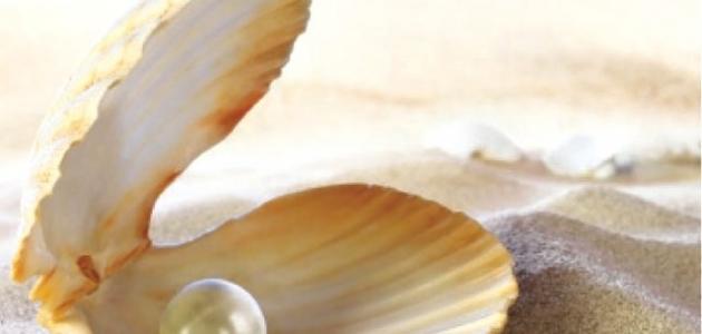 أين يوجد اللؤلؤ صورة مقال أين يوجد اللؤلؤ