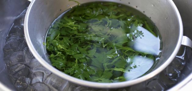 فوائد منقوع البقدونس صورة مقال فوائد منقوع البقدونس