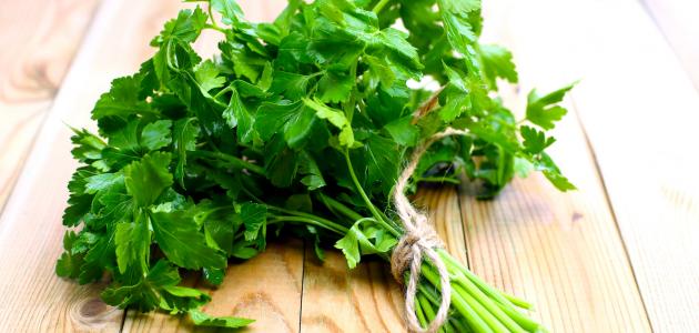 فوائد ماء البقدونس صورة مقال فوائد ماء البقدونس