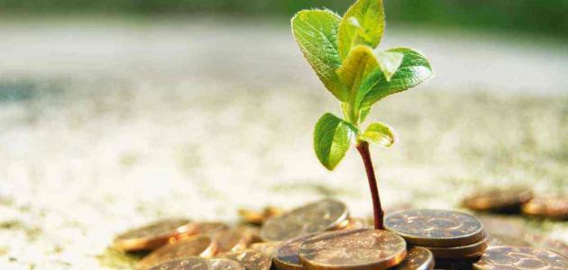 متى وقت إخراج زكاة الفطر صورة مقال متى وقت إخراج زكاة الفطر