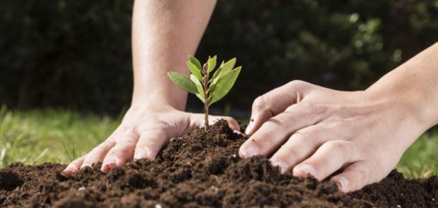 أهمية الأخلاق صورة مقال أهمية الأخلاق