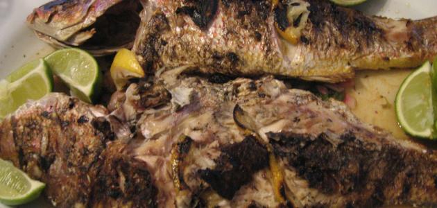 طريقة تتبيل السمك المشوي صورة مقال طريقة تتبيل السمك المشوي