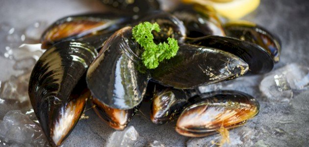 فوائد بلح البحر صورة مقال فوائد بلح البحر