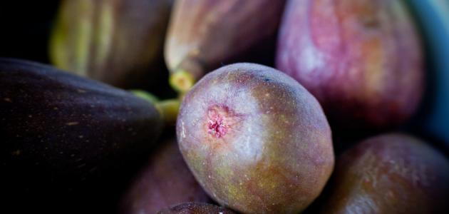 فوائد منقوع التين صورة مقال فوائد منقوع التين