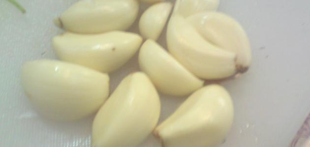 فوائد الثوم للبشرة صورة مقال فوائد الثوم للبشرة